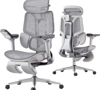 Hbada E3 Pro Ergonomic Office Chair